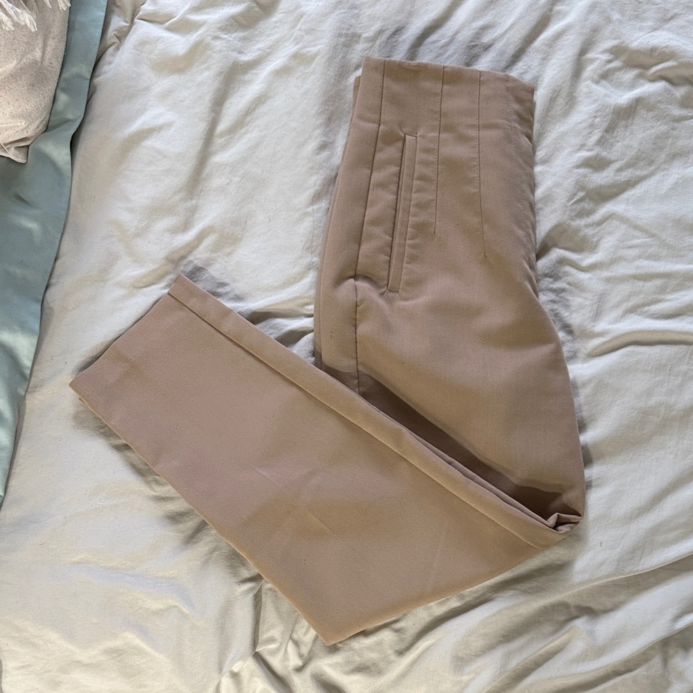Zara High Waisted Pants